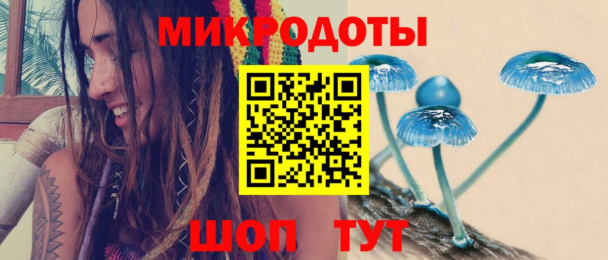 купить наркоту  Галлюциногенные грибы мицелий  Вход с VPN  Сунжа 