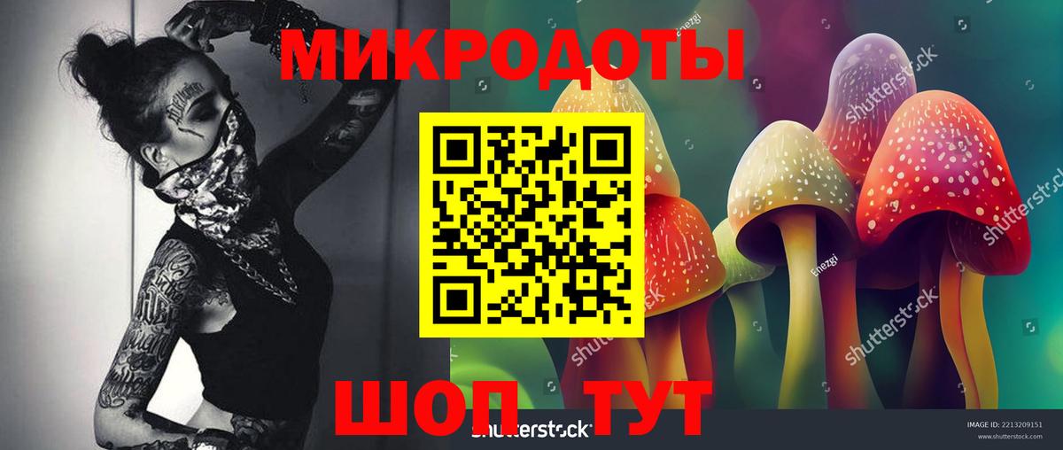 Псилоцибиновые грибы MAGIC MUSHROOMS Сунжа