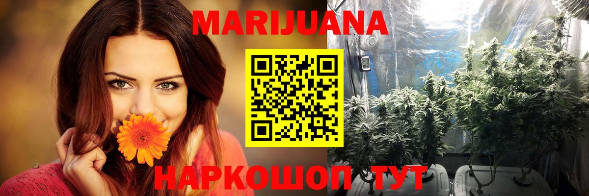 Бошки марихуана ГИДРОПОН  Каннабис тримм  Вход с VPN  Канабис LSD WEED  Сунжа 